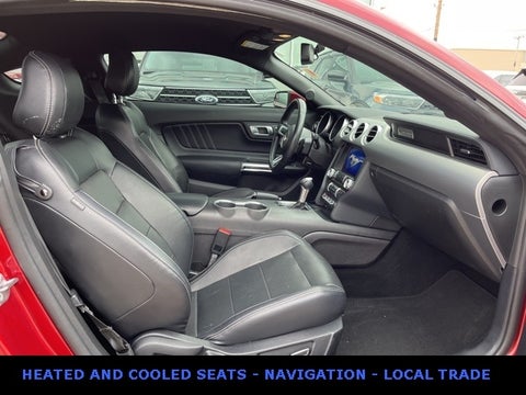 2019 Ford Mustang GT Premium 460HP in Chicago, IL - Zeigler Chrysler Dodge Jeep Ram Schaumburg