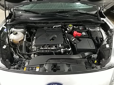 2020 Ford Escape SE in Chicago, IL - Zeigler Chrysler Dodge Jeep Ram Schaumburg